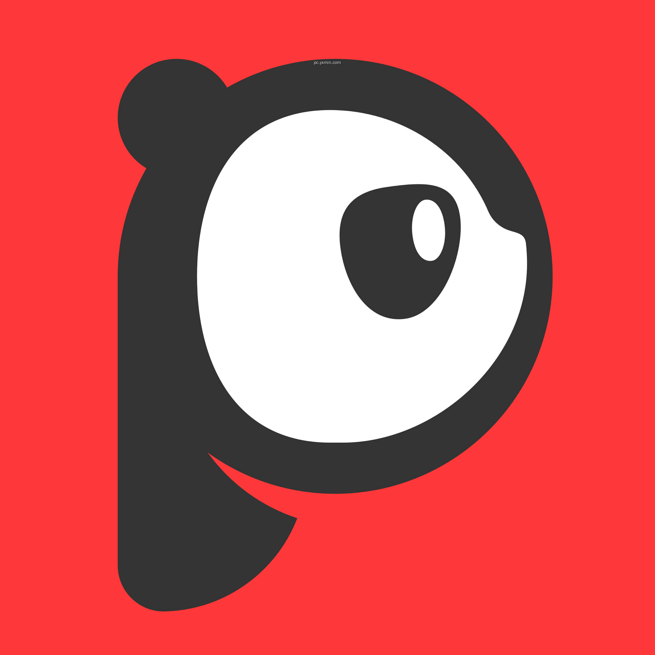 PDF大师