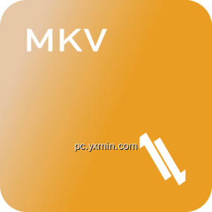 LL MKV Converter – MKV to MP4