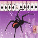Spider Solitaire ~ Free Spider Solitaire ~ Free