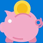 No Frills Checkbook