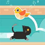 Cat Bird
