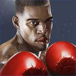 Punch Boxing 3D! Punch Boxing 3D!