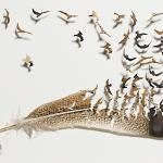 Shadowboxes by Chris Maynard Shadowboxes by Chris Maynard