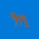 GrayFox