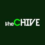 theCHIVE – Probably the best app in the world