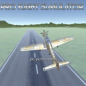 Pro Flight Simulator