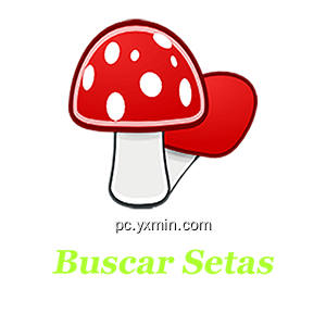 Buscar Setas