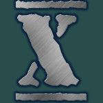 Fighter X