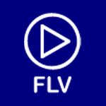 FLV Media Player FLV Media Player