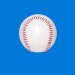 Baseball Lingo