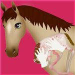 Horse Pregnancy Surgery 2