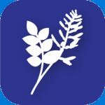 BG.Indigo