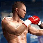 Real Boxing Fighting Real Boxing Fighting