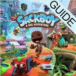 Sackboy A Big Adventure Guides