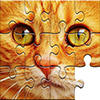 Unlimited Puzzles – 儿童和成人的拼图游戏