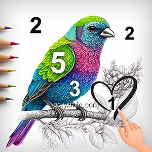 Paint by Number Art – Tap Color