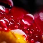 Waterdrops by JP Peter Waterdrops by JP Peter