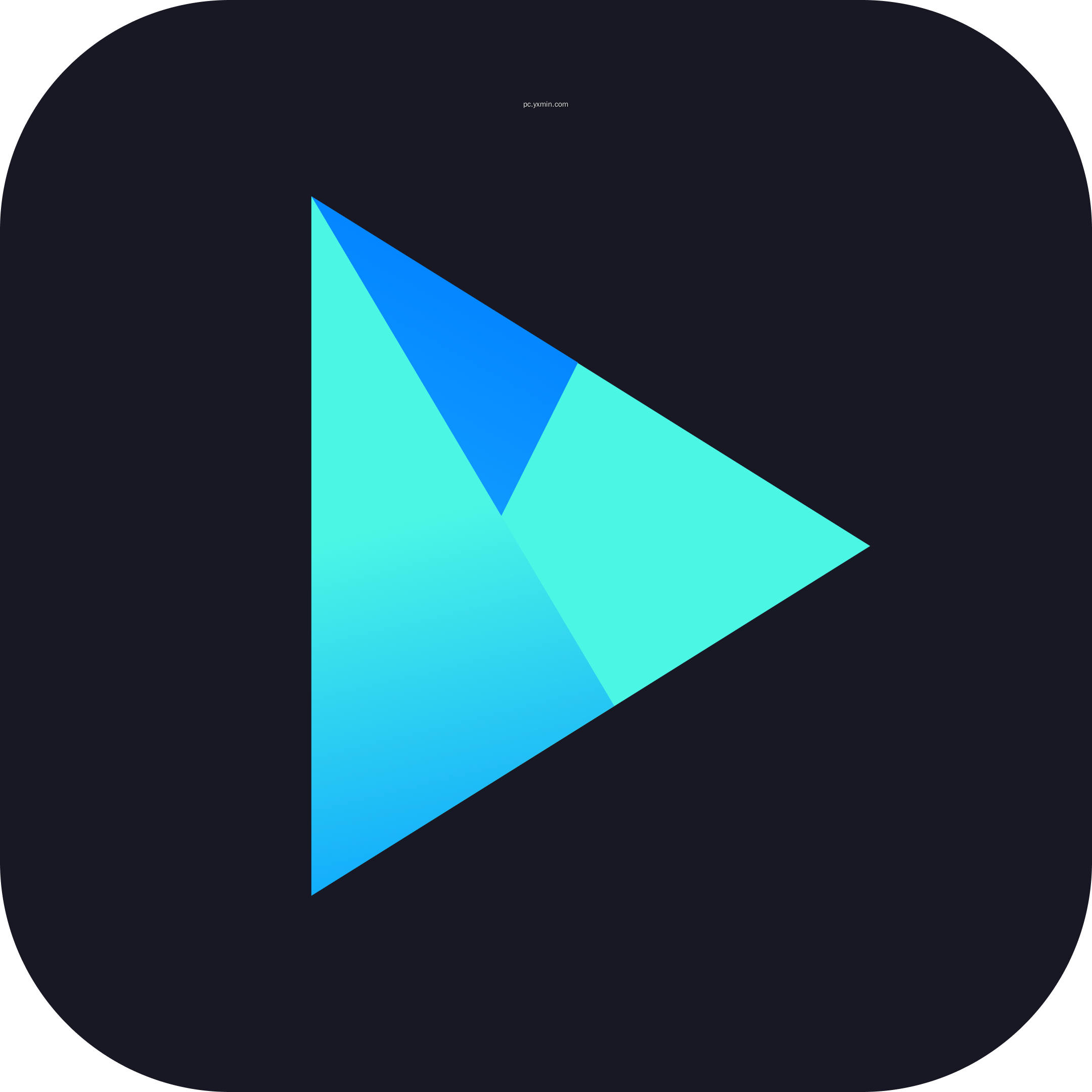 Vidmore Player
