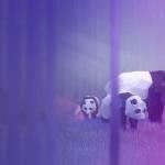 Remix 3D Animals Remix 3D Animals