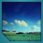Grassy lands