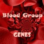 Blood Group Genes