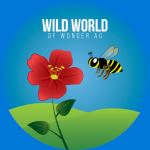 Wild World of Wonder Ag Wild World of Wonder Ag