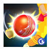 City Cricket City Cricket