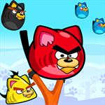 Angry Piggies Angry Piggies