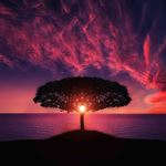 Quick Calming Meditations pack 3