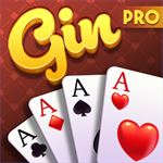 Gin Rummy Multiplayer Pro!