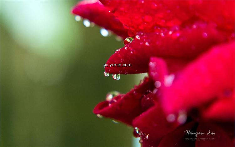 【图】Raindrops by Rangan Das(截图2)