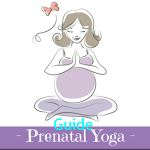 Basic Prenatal Yoga Course Basic Prenatal Yoga Course