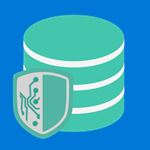 DSE Backup Expert Pro 2021