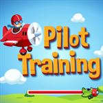 New Pilot Training New Pilot Training