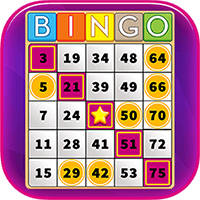 Bingo Collection