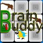 Brain Buddy
