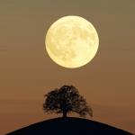 Near Side of the Moon Near Side of the Moon